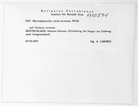 Image Associated With the Occurence